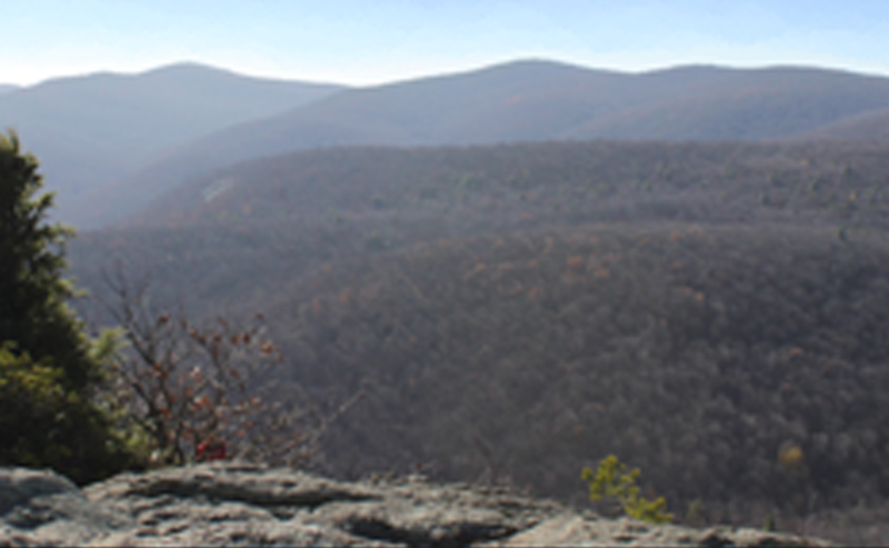 Virginia